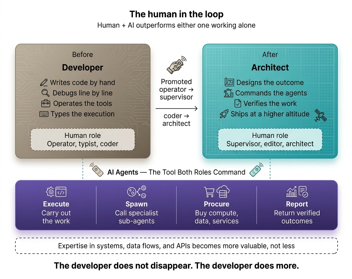 Technology_Roles
