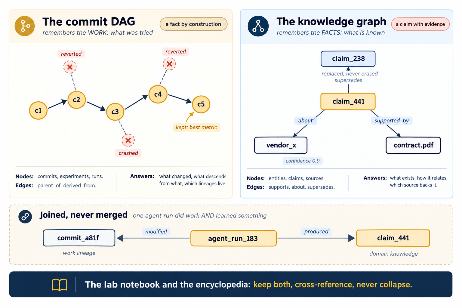The two graphs, side by side and joined but never merged. Left panel, the commit DAG, labelled remembers the WORK: what was tried, with a chip reading a fact by construction. A chain of five gold commit circles c1 to c5 rises and falls left to right, joined by solid parent arrows, with c5 annotated kept: best metric. Three dashed grey branches leave the trunk and end in pale crossed-out circles labelled reverted, reverted, and crashed. Caption: nodes are commits, experiments, runs. Edges are parent_of and derived_from. It answers what changed, what descends from what, which lineages live. Right panel, the knowledge graph, labelled remembers the FACTS: what is known, with a terra chip reading a claim with evidence. A central gold claim_441 box connects by labelled arrows to a white vendor_x box (about), a cream contract.pdf box (supported_by, annotated confidence 0.9), and a pale claim_238 box above it (supersedes, annotated replaced, never erased). Caption: nodes are entities, claims, sources. Edges are supports, about, supersedes. It answers what exists, how it relates, which source backs it. A dashed bridge panel across the bottom is headed Joined, never merged, with the note one agent run did work AND learned something: a central gold agent_run_183 chip has a modified arrow left to a white commit_a81f box, captioned work lineage, and a produced arrow right to a gold claim_441 box, captioned domain knowledge. Footer: the lab notebook and the encyclopedia, keep both, cross-reference, never collapse.